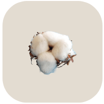 Cotton