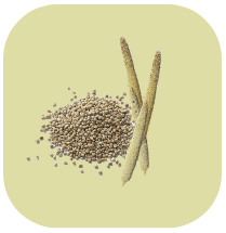 Millets