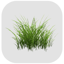 Herbicides